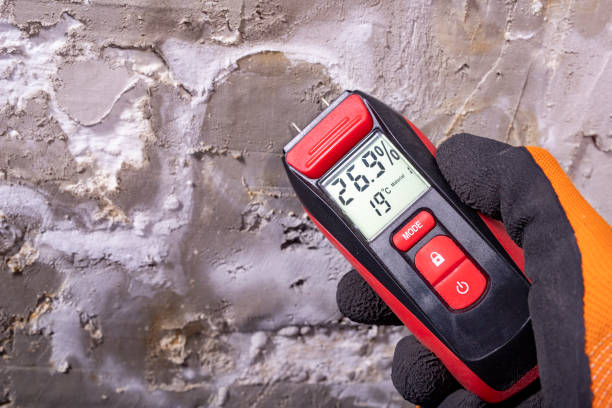 Attic Mold Removal in Nolanville, TX