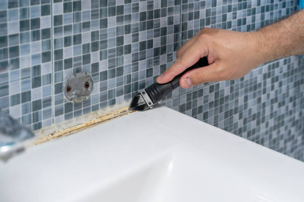 Best Local Mold Removal Service  in Nolanville, TX